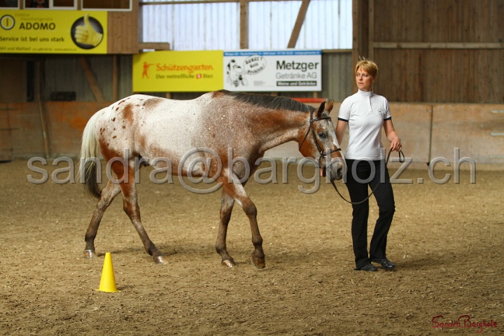 24-ApHC HIH_074.jpg